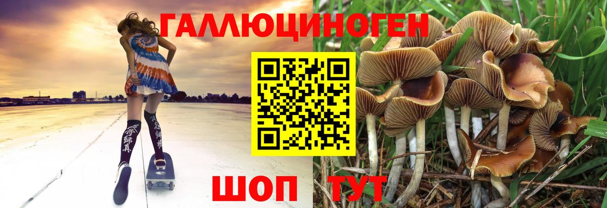 Псилоцибиновые грибы прущие грибы  Вход с VPN  Казань  Псилоцибиновые грибы Psilocybe 